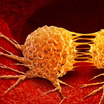 cancer cells dividing