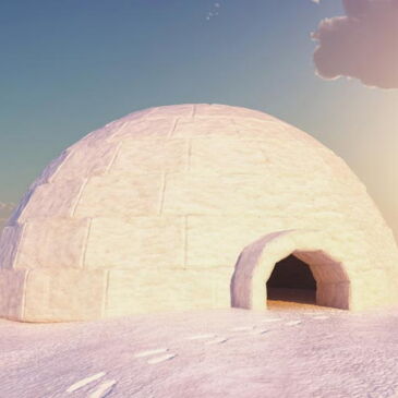 igloo for all-meat diet