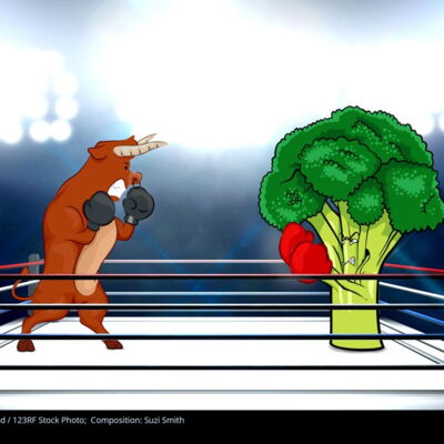 food fight: bull and broccoli as omnivore and vegan in a boxing ring